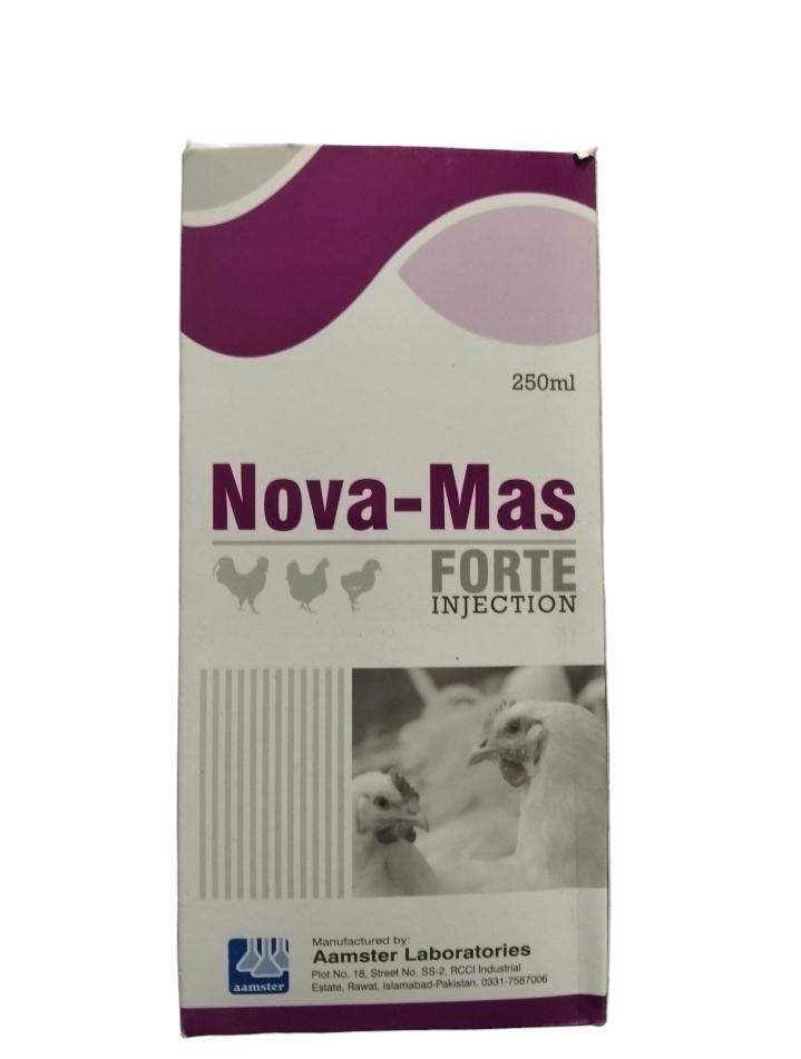 Nova Mass Fort injection buy online