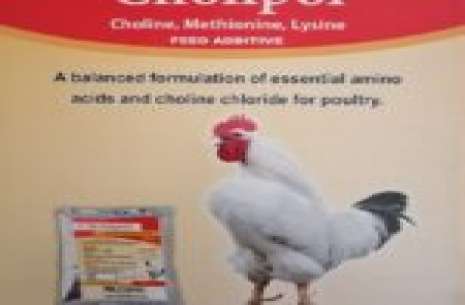 Cholipol Powder 500 Gram