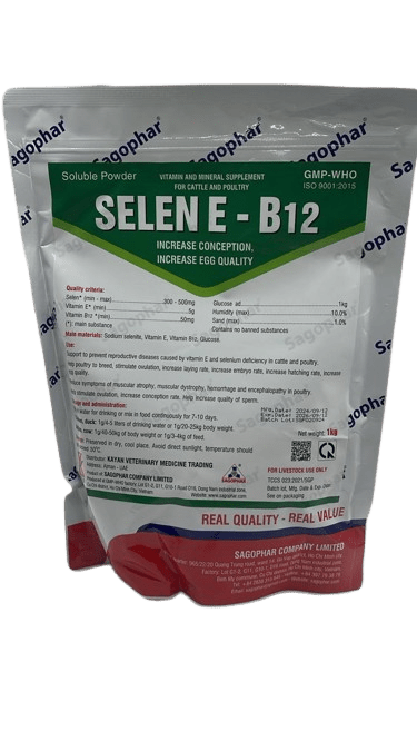 SELEN E - B12 selenium 1 kg