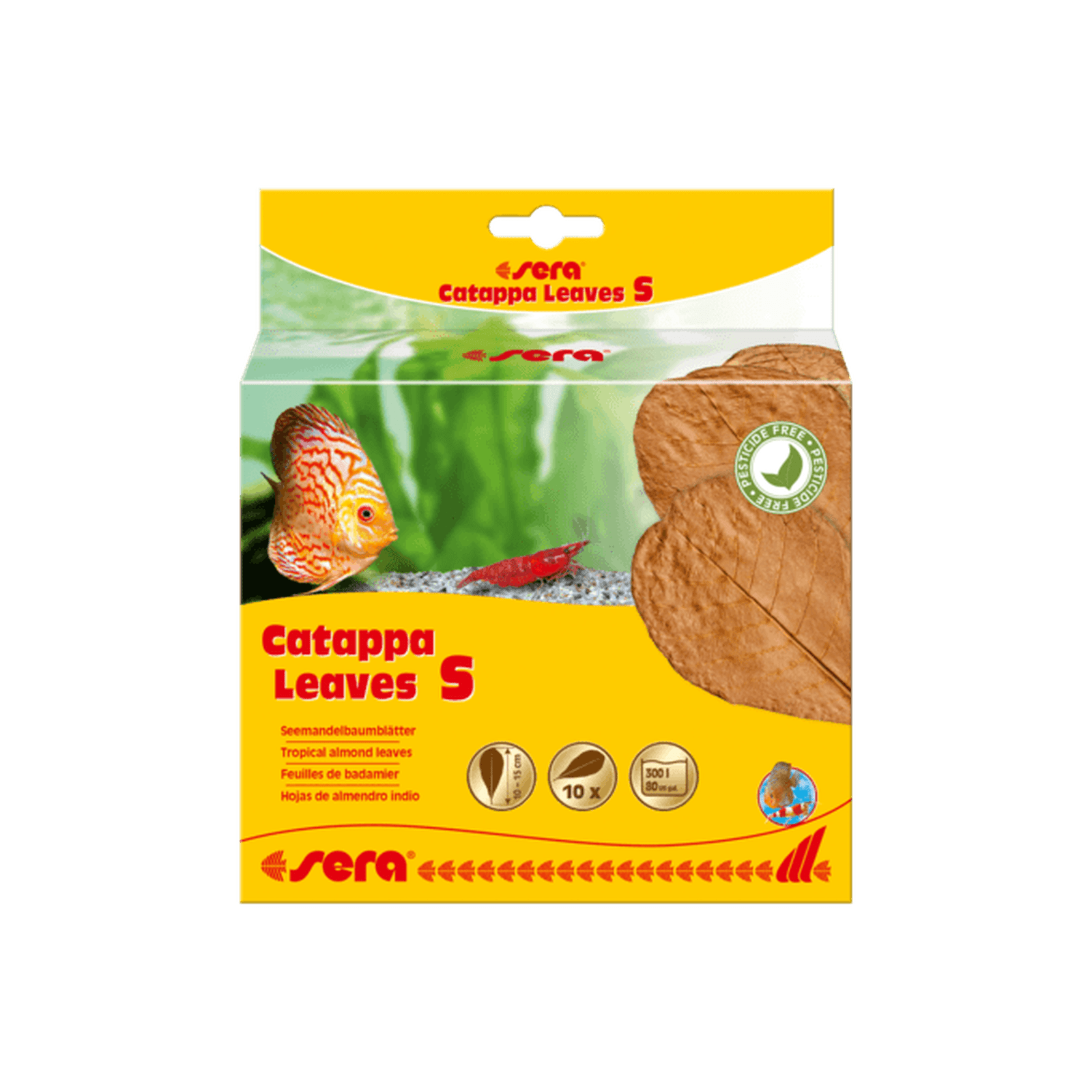 Sera Catappa Leaves -10pcs