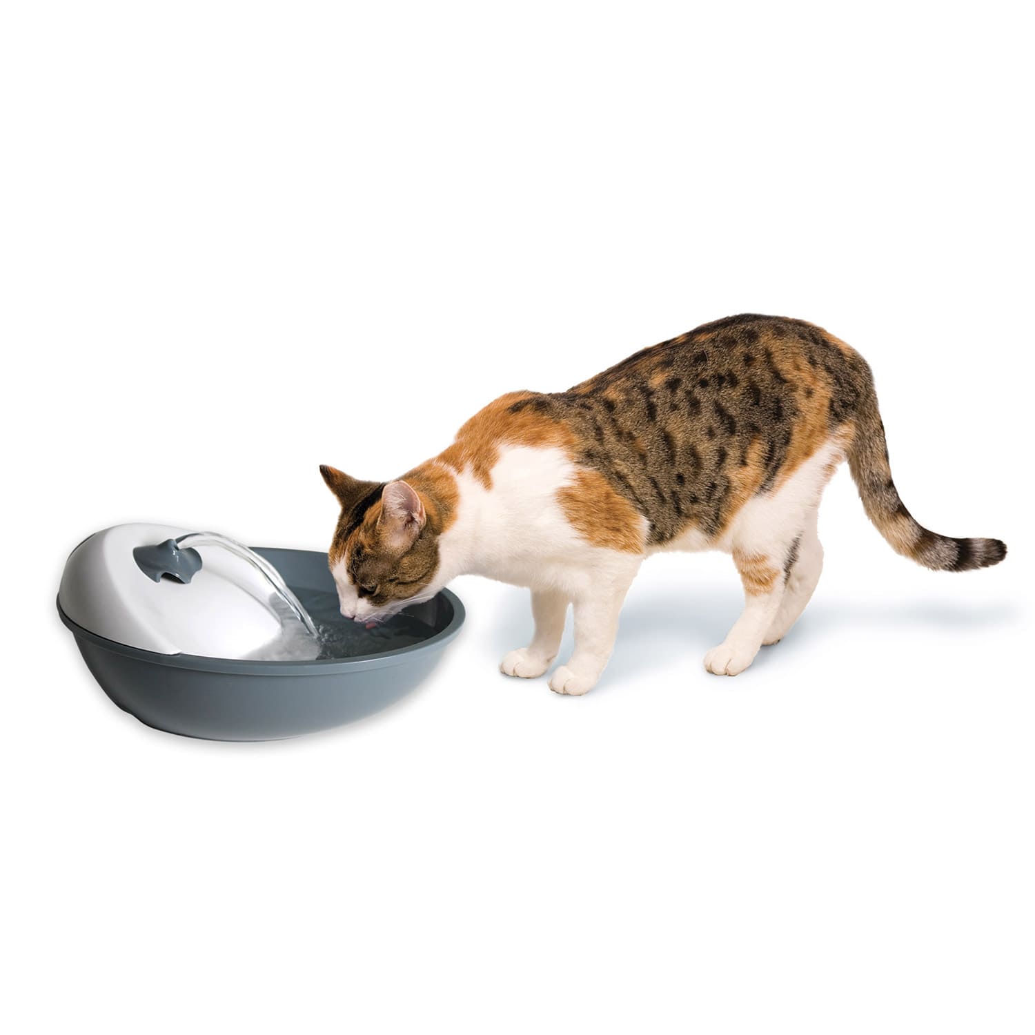 Serenity Plastic Drinking Water Fountain