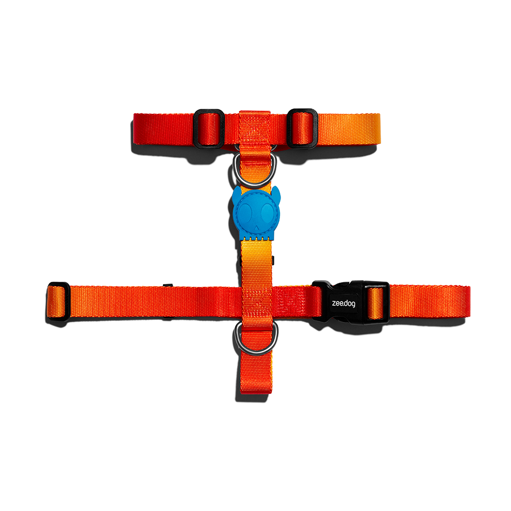 ZEE.DOG Solaris H-Harness