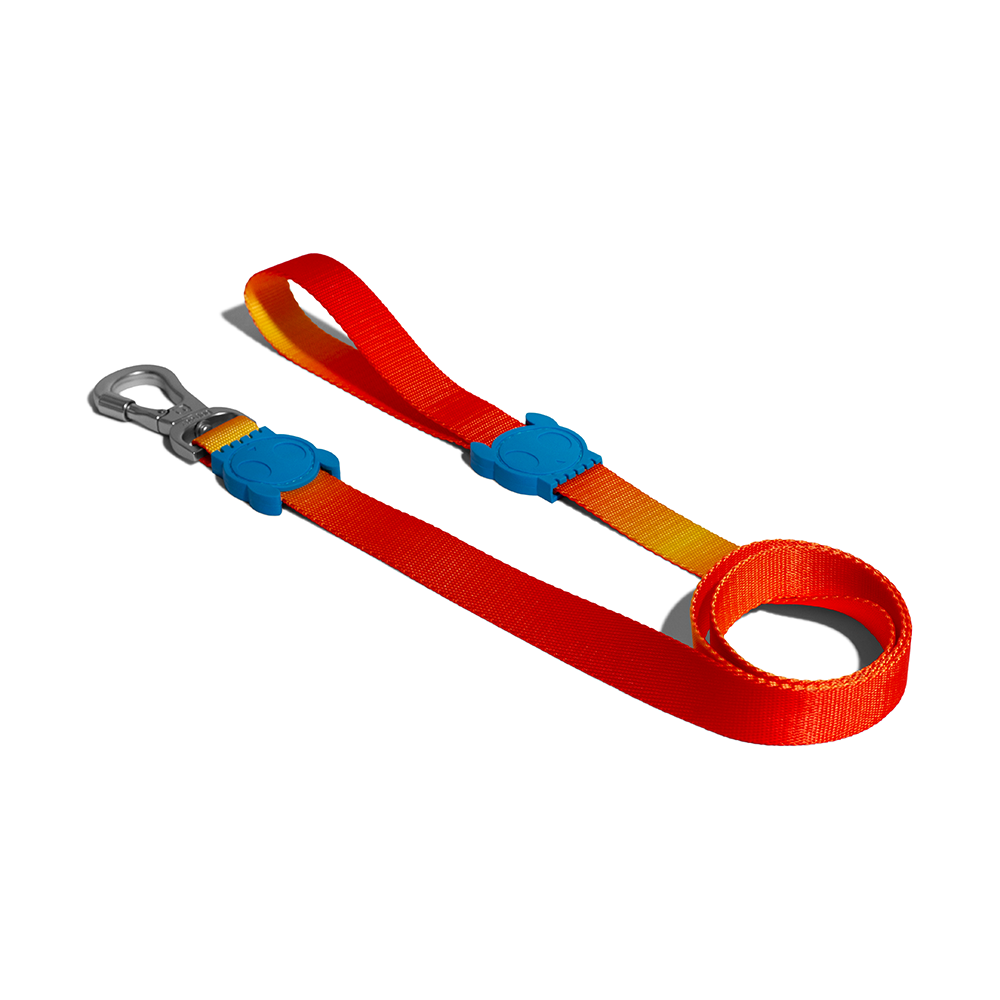 ZEE.DOG Solaris Leash
