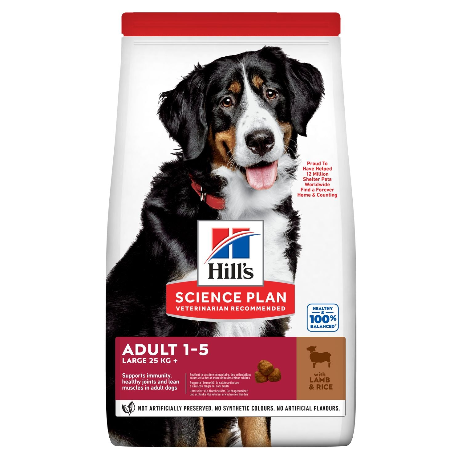 Hills Science Plan Large Breed Adult Dog Food with Lamb & Rice 14kg