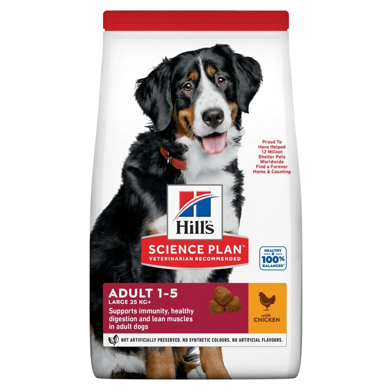Hills Science Plan Large Breed Adult Dog Food with Chicken
