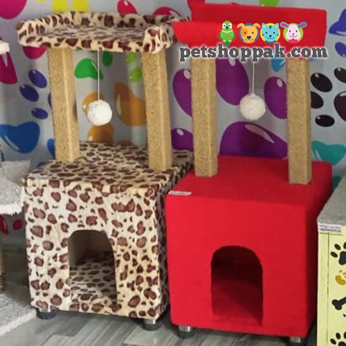 House with Scratching Post