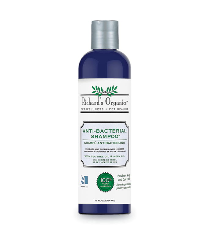 Synergy Lab Anti-Bacterial Shampoo - 354ml