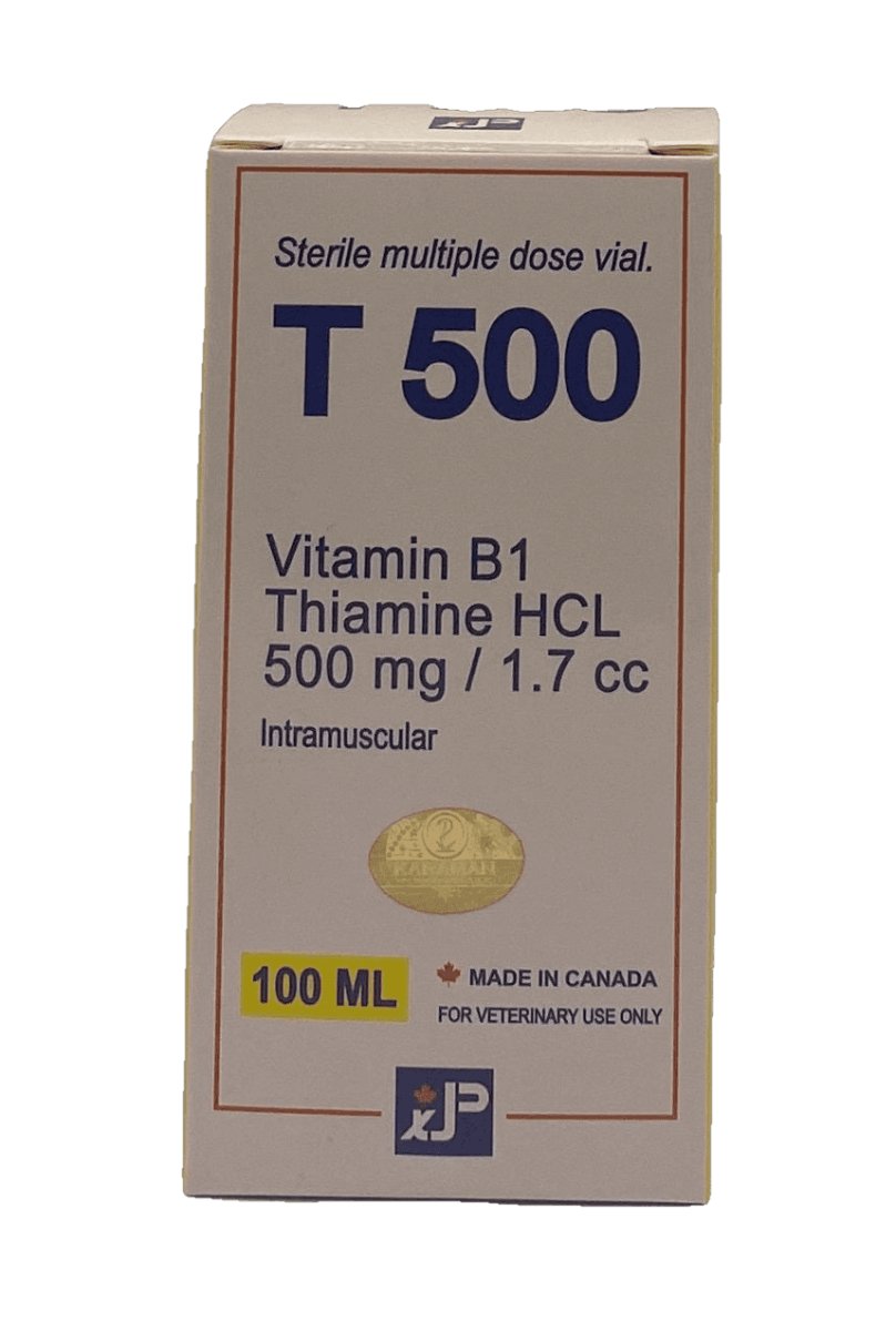 T 500 Vitamin B1 jaapharm 100ml