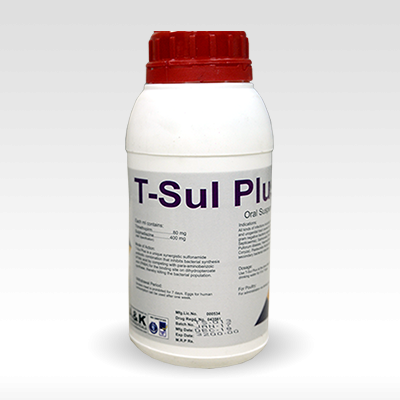 T-SUL PLUS