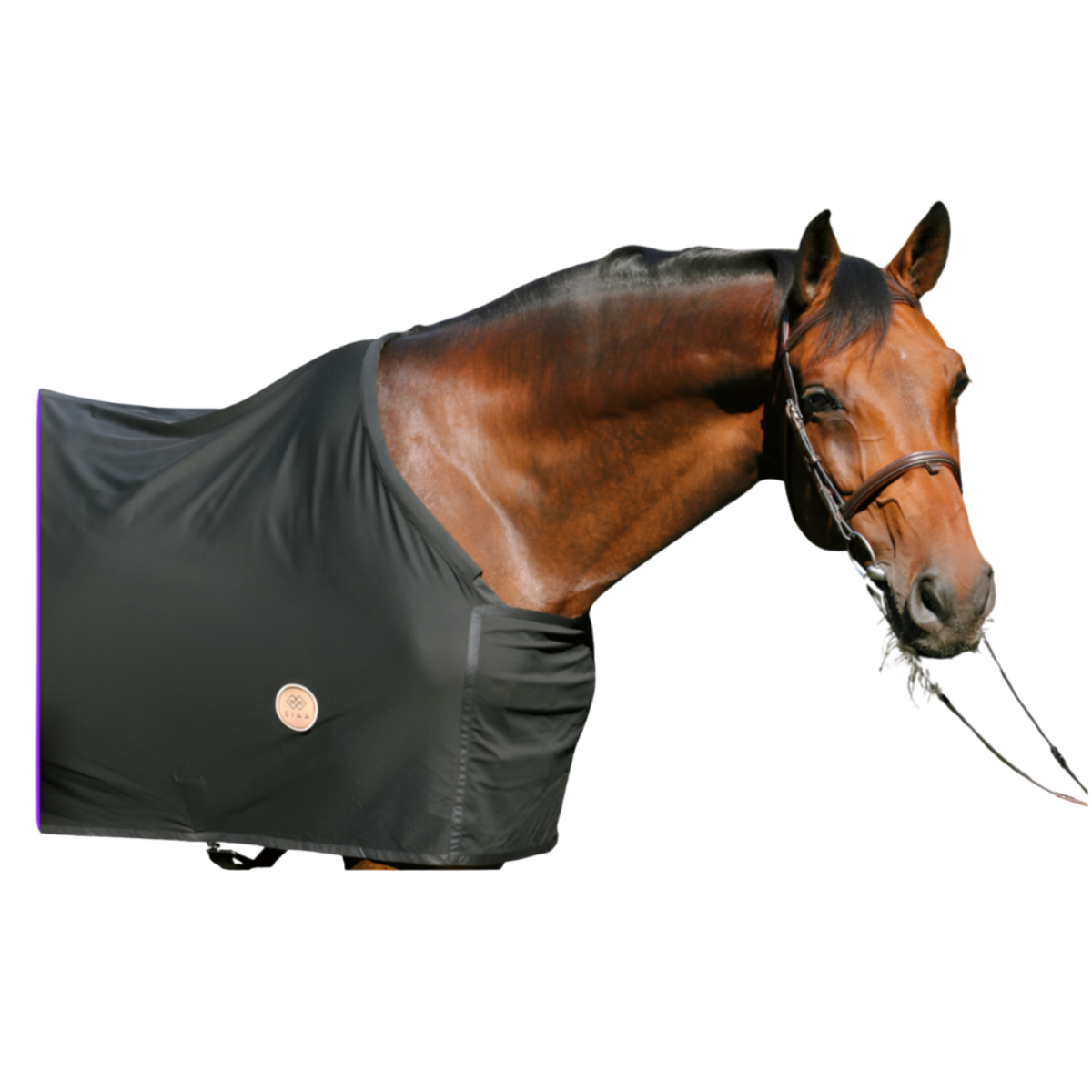 Siaa Tech'Rug Blanket