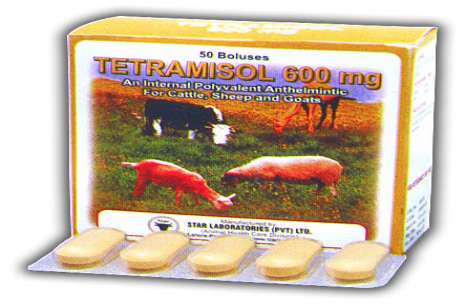 Tetramisol-600 Bolus