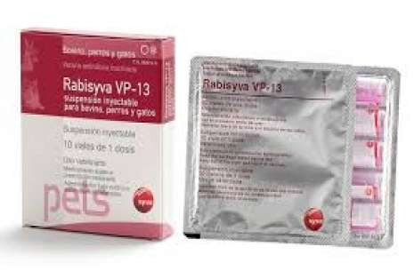 Rabisyva Vp-13