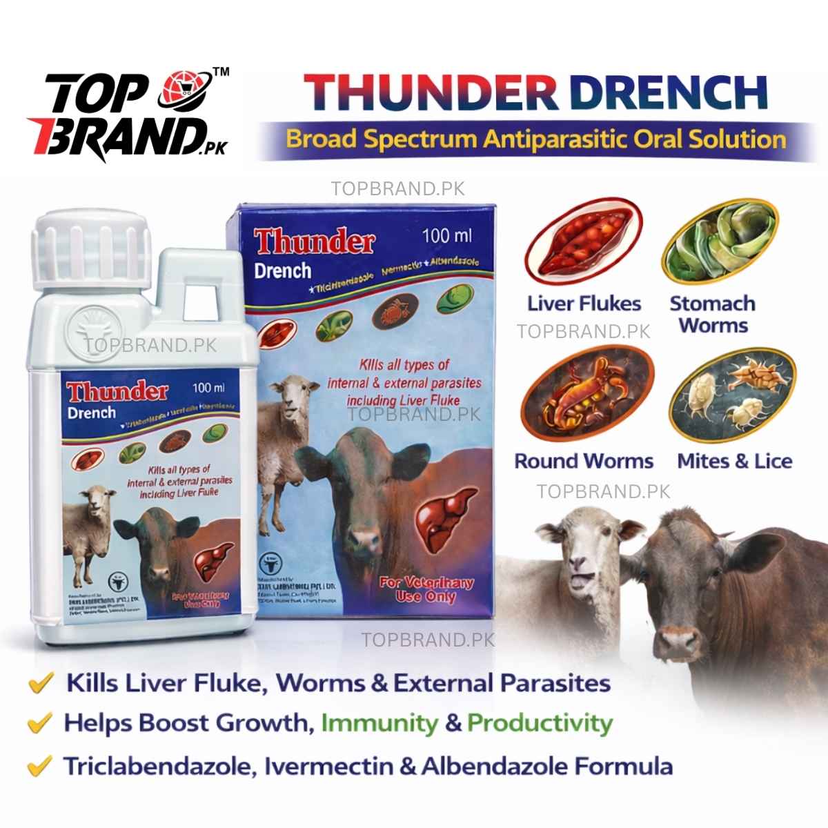 Thunder Deworming Drench