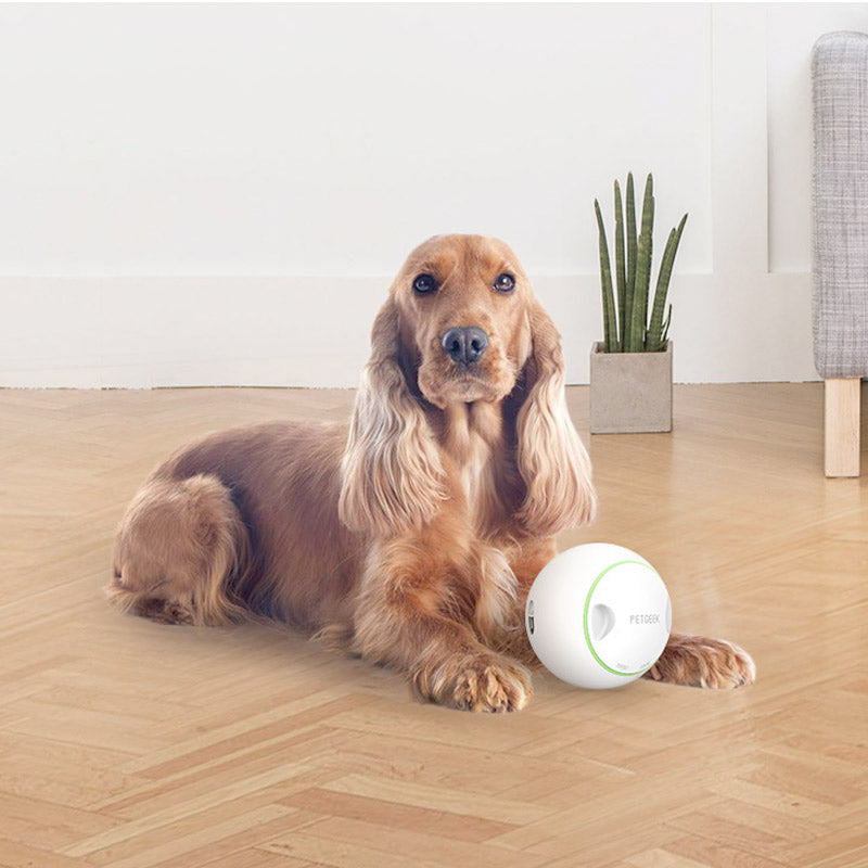Foodie Orb Automatic Rolling Treat Ball