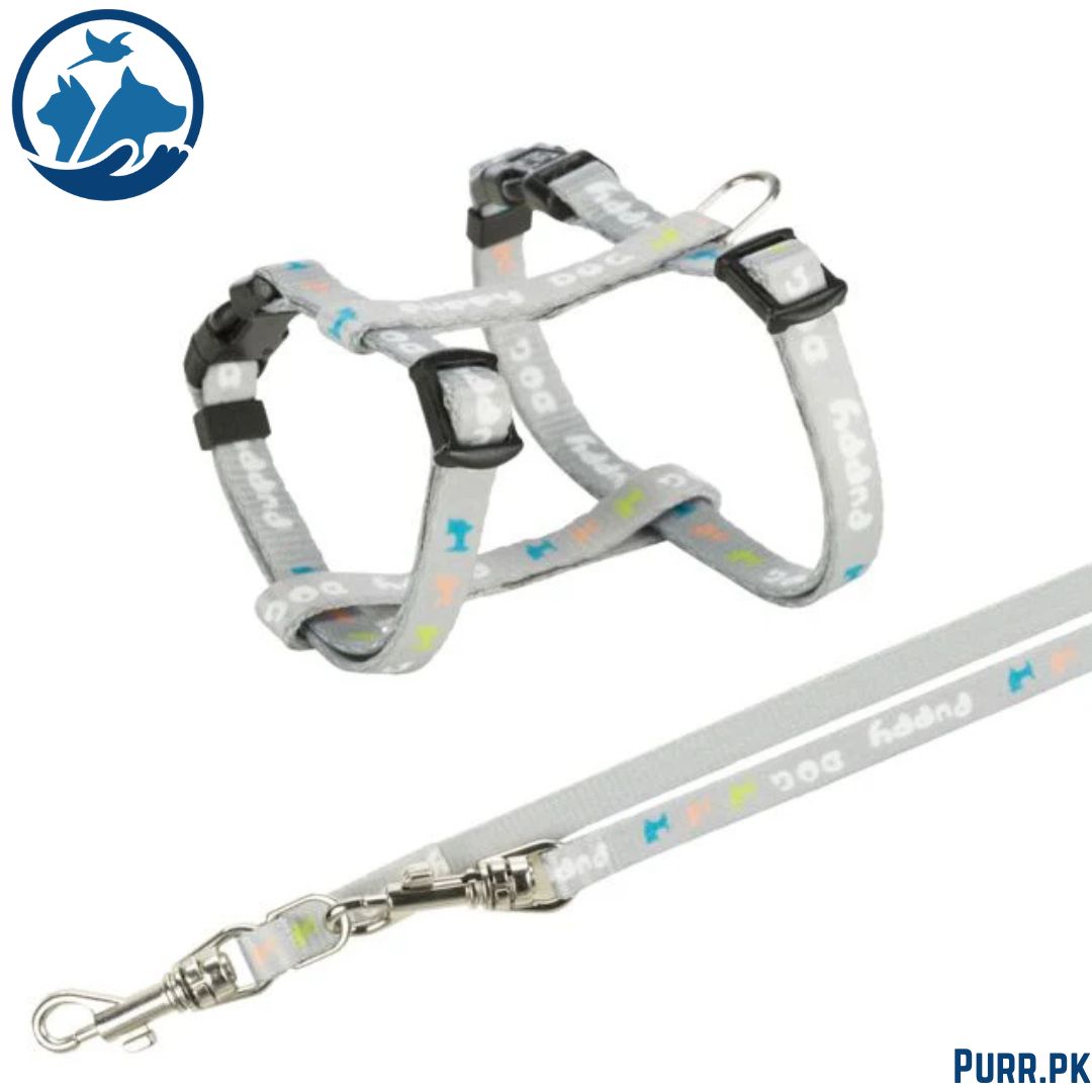 Trixie Puppy Harness with Lead Mint Color 27:45 cm / 10 mm – 2 m (M-L)