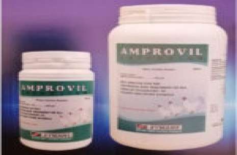 Amprovil – Powder 100 gm