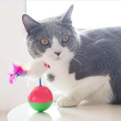 Cat Toy Tumbler Mouse