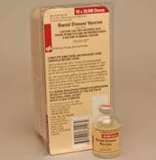 Univax-BD Vaccine