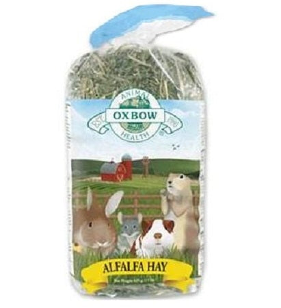 Oxbow Alfalfa Hay for Small Pets 15OZ