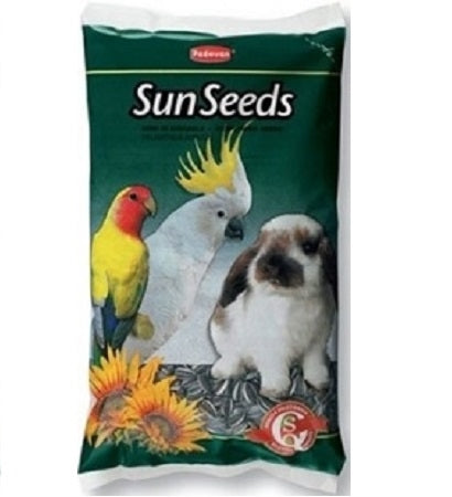 Padovan Medium Sun Seeds Small Pet & Bird Treats 500G
