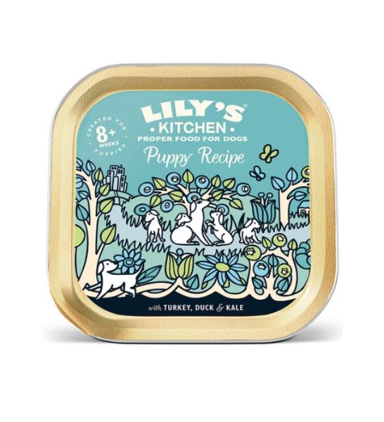Lily's Kitchen Turkey & Duck Recipe Puppy Wet Food