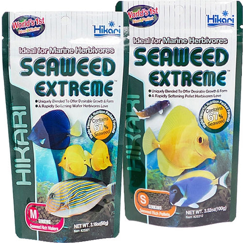 Hikari Marine Seaweed Extreme Small Fish Food