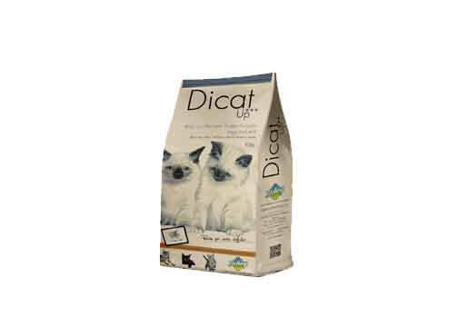 DICAT UP KITTY