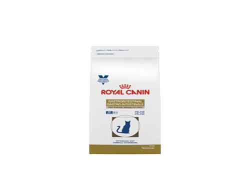 Royal Canin Feline Gastrointestinal Dry Cat Food