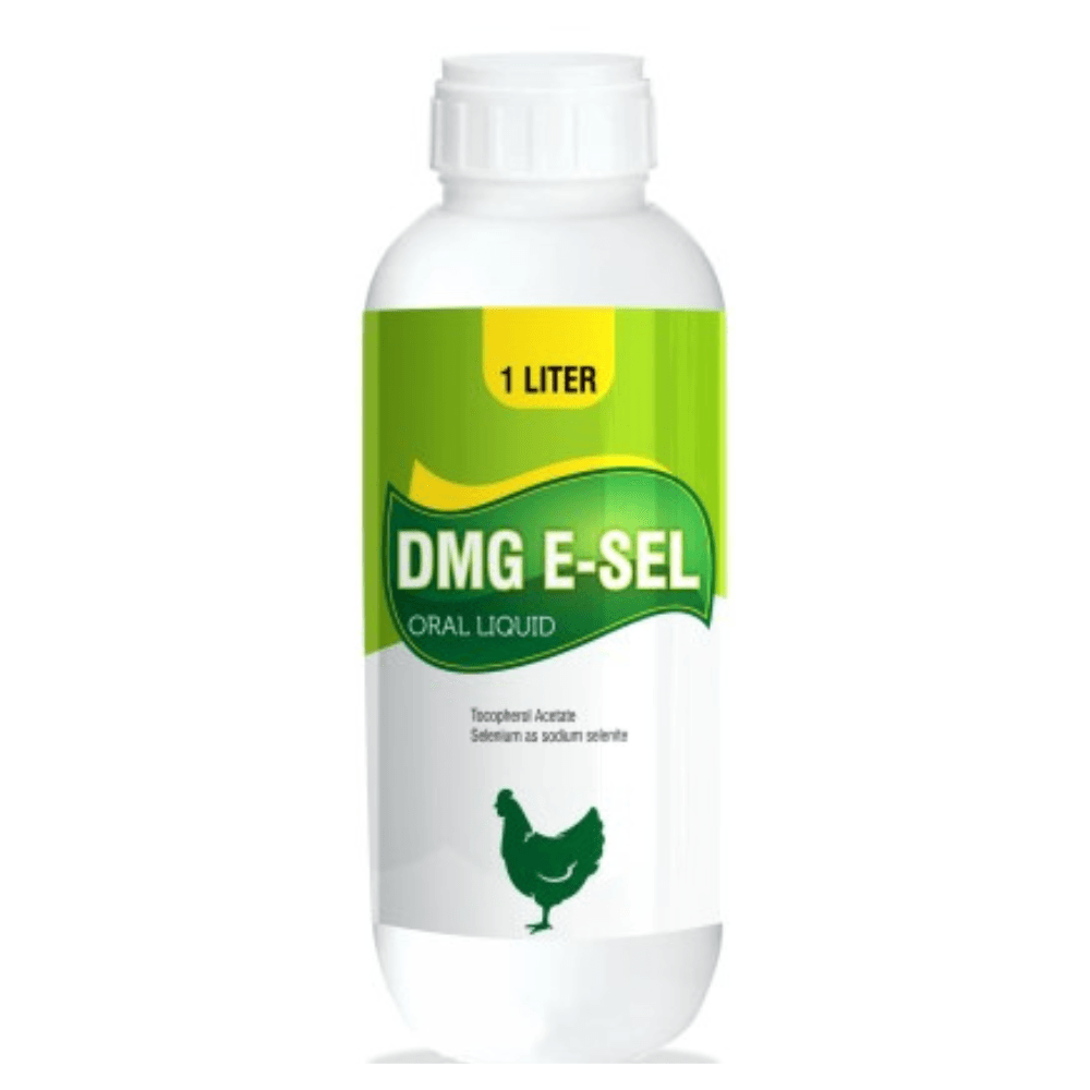 DMG E-Sel