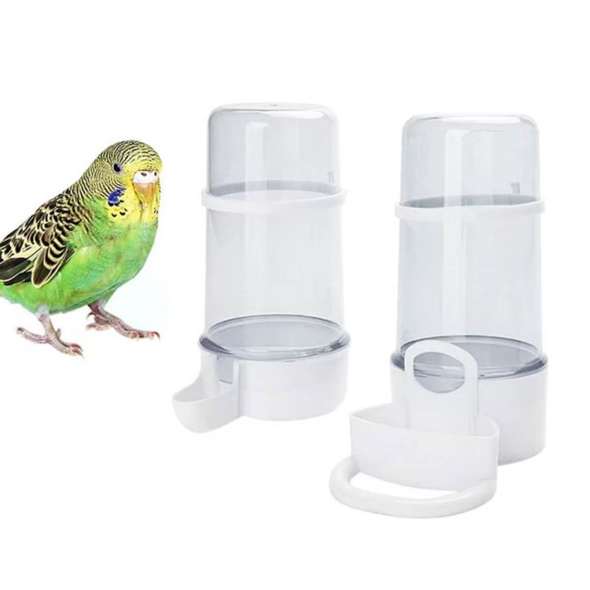 Automatic Bird Feeder & Waterer for Parakeets