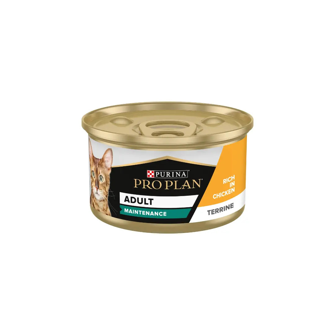 PURINA PRO PLAN ADULT MAINTENANCE WET CAT FOOD IN CHICKEN 85G