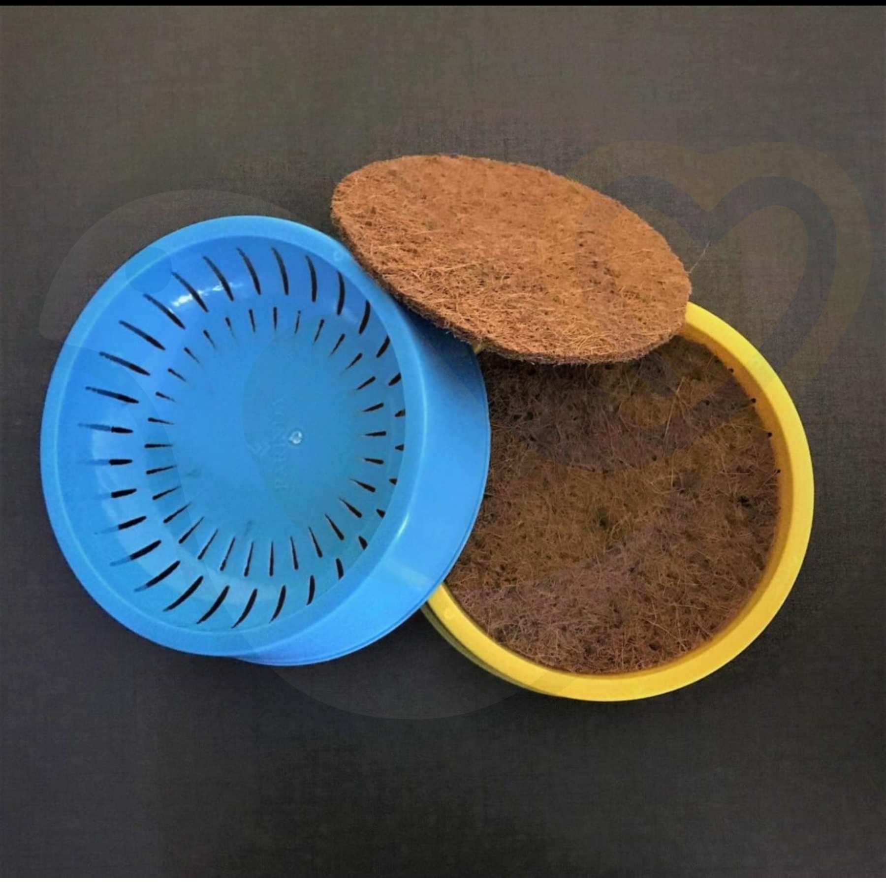 Pigeon Nest Bowl with Mat
