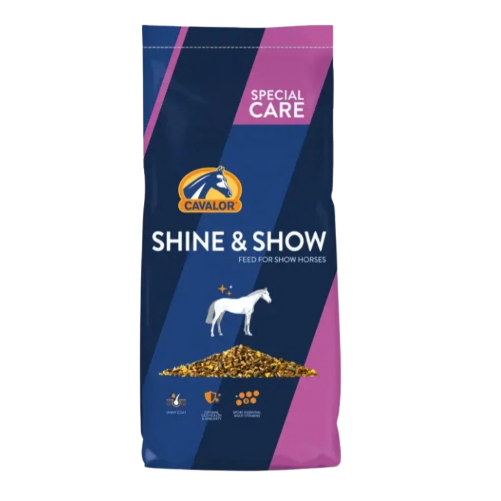SHINE & SHOW | CAVALOR | UAE | AL ZARRAB
