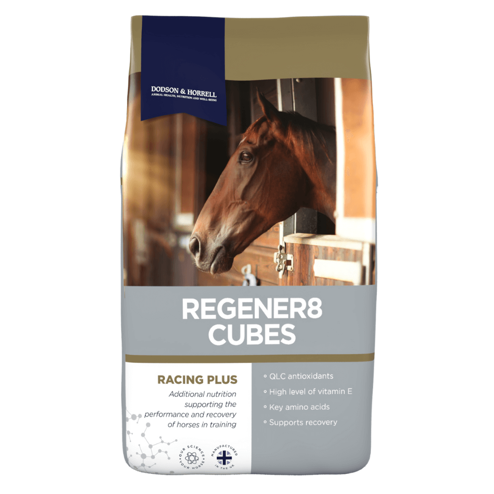 REGENER8 CUBES-D&H UK | High Protein Horse Feed | Al Zarrab