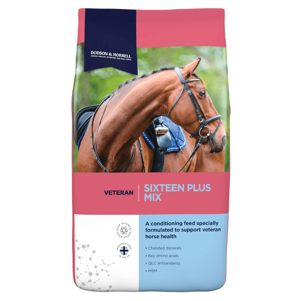 SIXTEEN PLUS MIX-D&H UK | Senior Horse Daily Feed | Al Zarrab