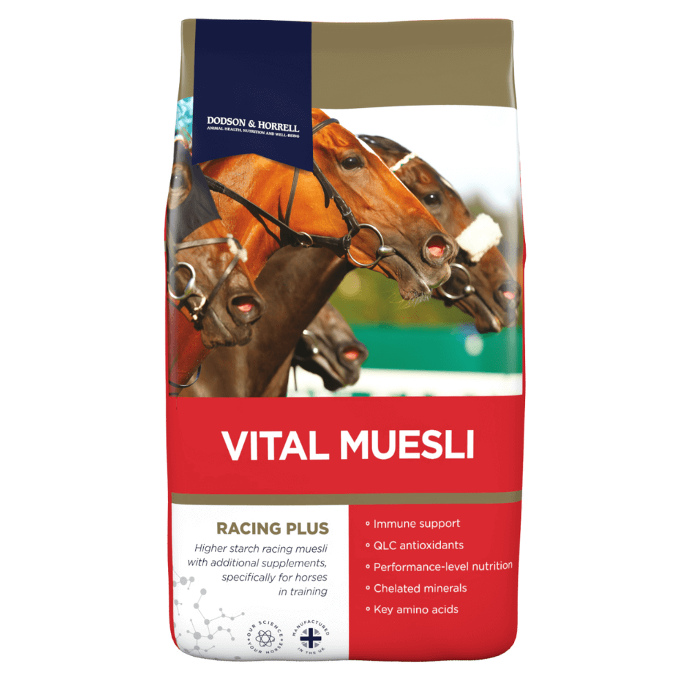 VITAL MUESLI-D&H UK | Balanced Daily Horse Feed | Al Zarrab