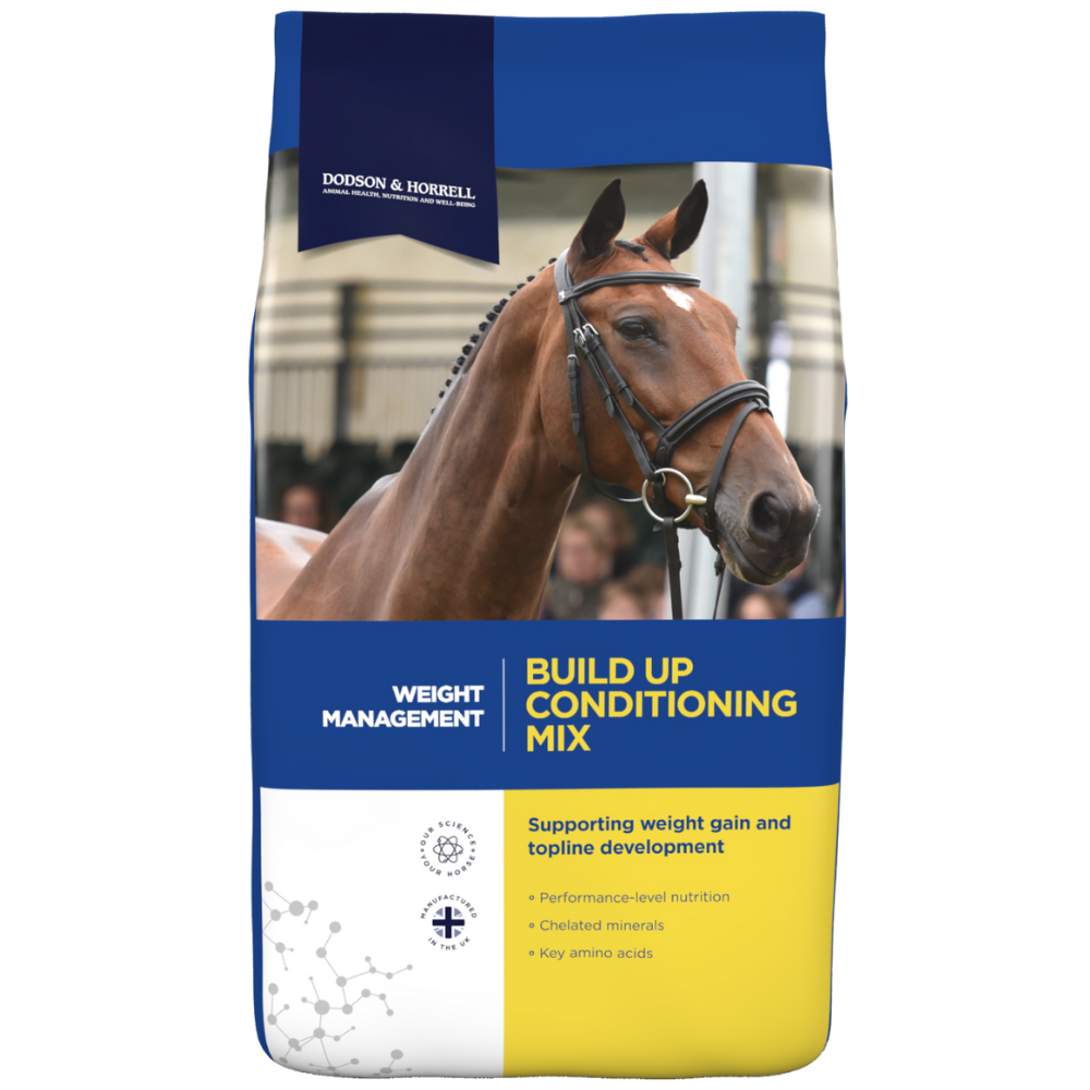 BUILD UP CONDITIONING MIX-D&H UK | Al Zarrab