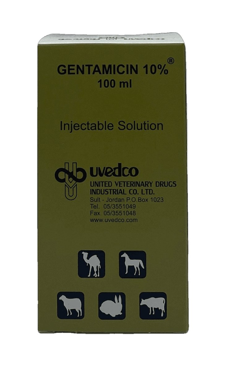 UVEDCO ⁨GENTAMICIN 10% 100 ml ⁩