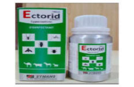 Ectorid Solution 100 ml