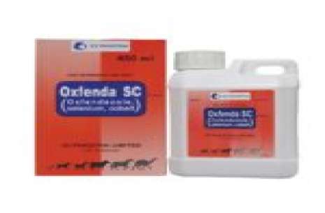 Oxfenda S C – 450 Ml (ICI)