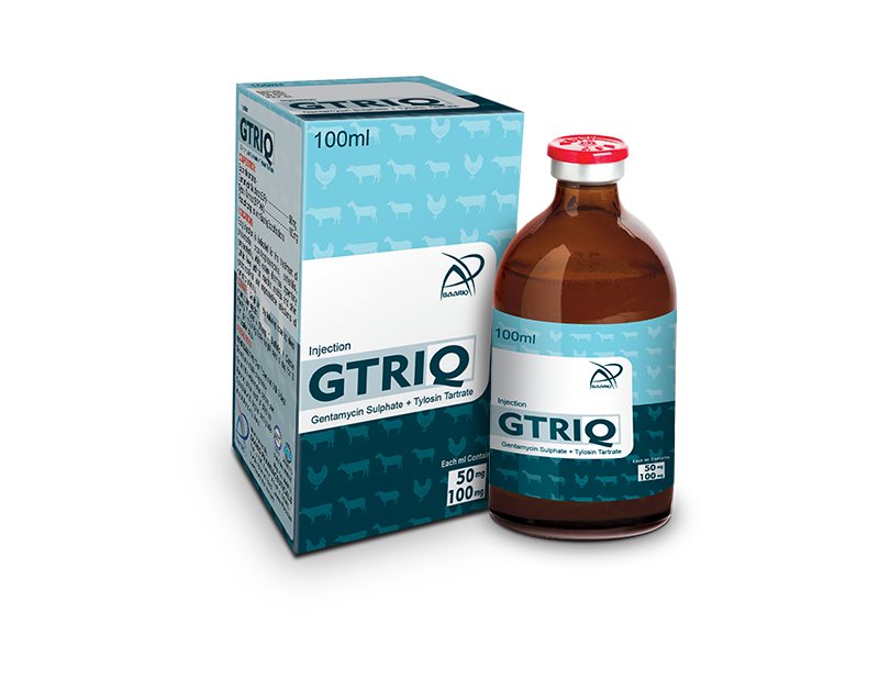 GTRIQV