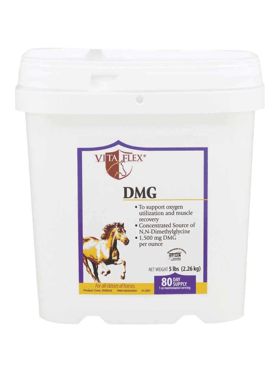VITA FLEX DMG 1500mg 2.26 kg