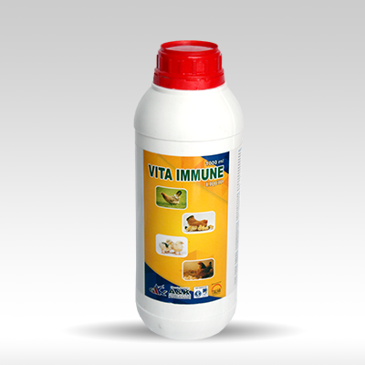 Vita Immune