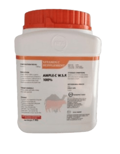 VITAMIN C SUPPLEMENT