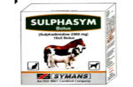 Sulphasym Bolus