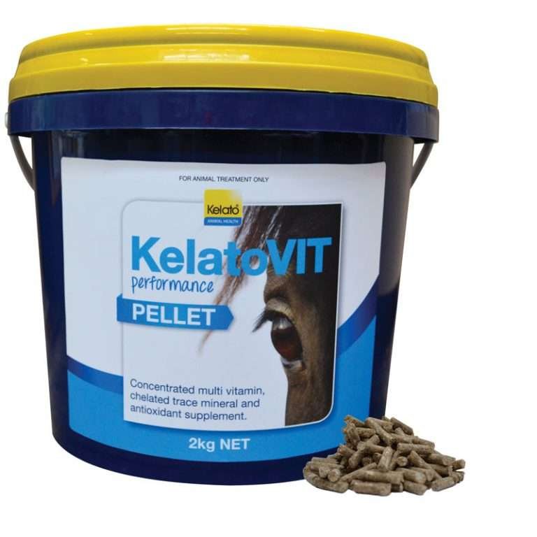 Kelato Vit