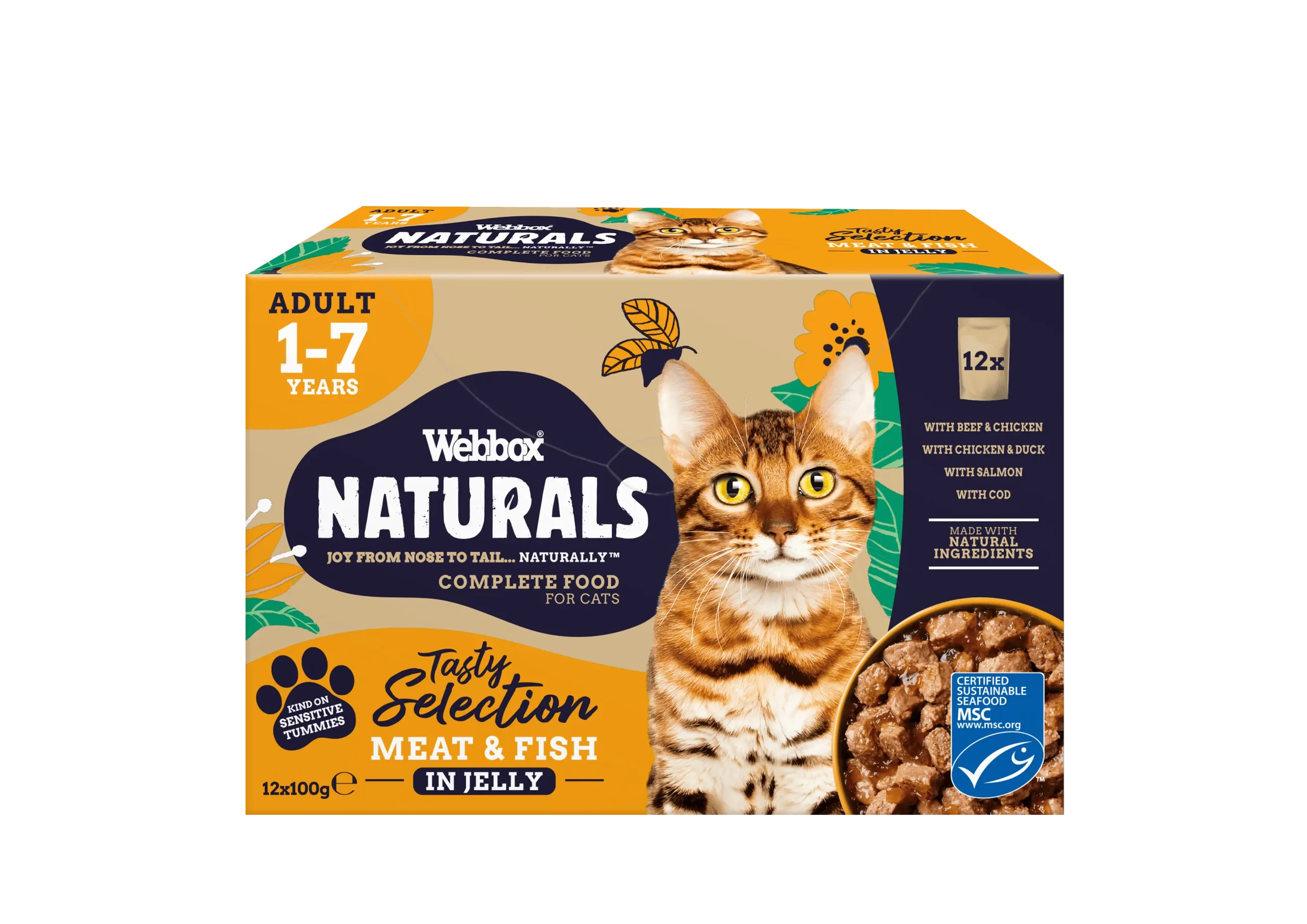 Webbox Naturals Fish & Meat in Jelly Wet Cat Food 100gm