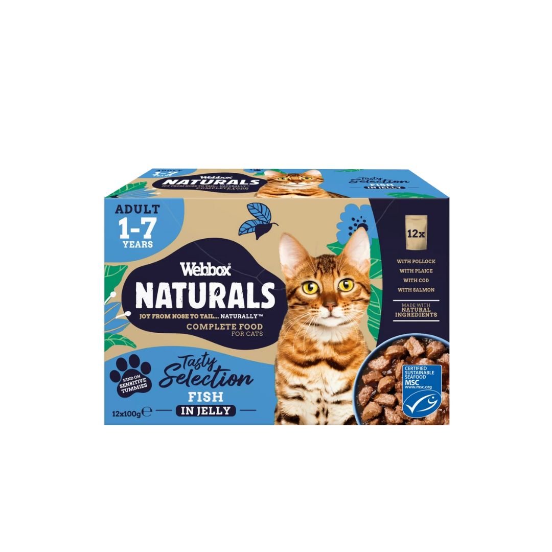 Webbox Naturals Fish in Jelly Wet Cat Food 100Grams