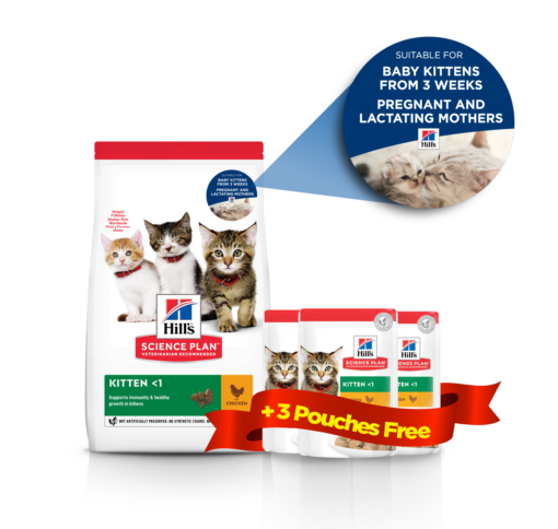 Hill’s Science Plan Kitten Food With Chicken (1.5kg) (EXP: 11.26) + 3 POUCHES