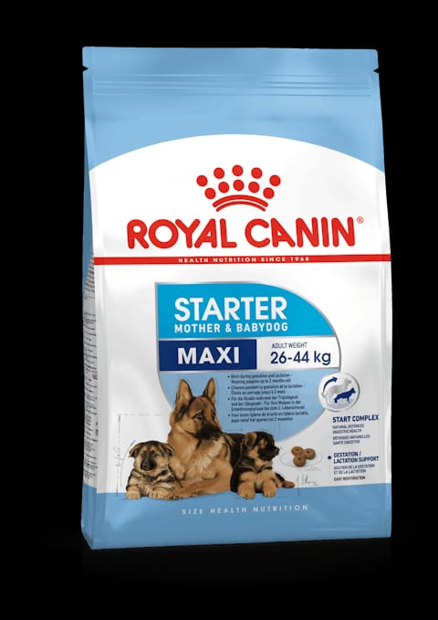 Royal Canin Maxi Starter